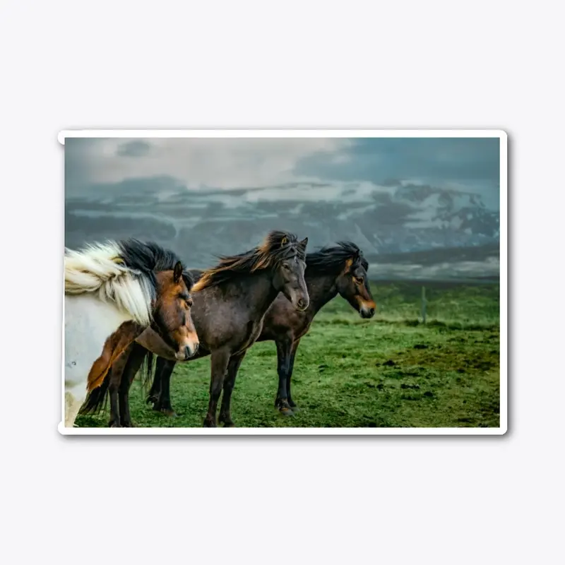 Wild Horses 